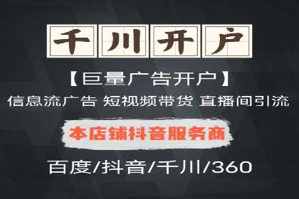 百度竞价与搜索引擎优化（SEO）结合的经典案例
