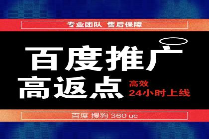 案例研究：SEM优化助力品牌知名度
